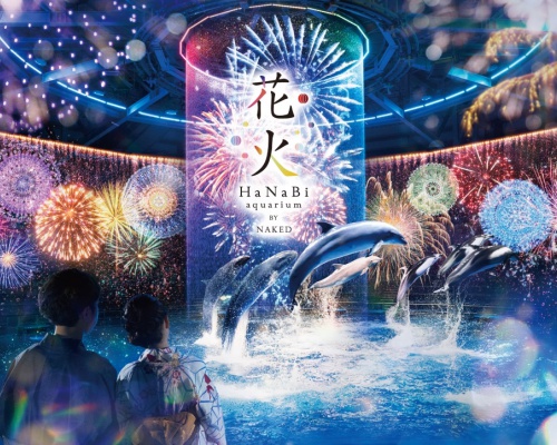 水族館で360度デジタル花火に包まれる！「花火アクアリウム BY NAKED 」