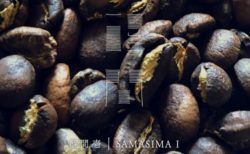 感性が醒める宿体験。もっとありのままに「醒間 壱／SAMASIMA I」