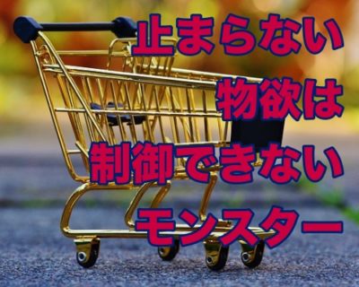 「欲しいものを買わずに済む方法」は我慢するだけでは間違っている