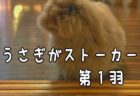 個人の手で地球を滅ぼす方法『右手一つで地球滅亡』