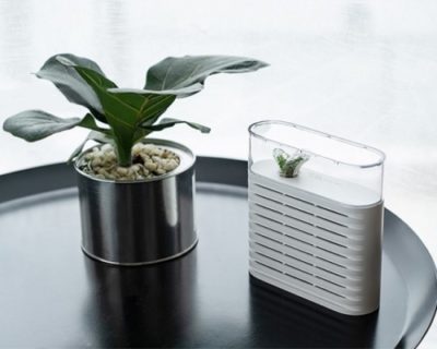 何度でも繰り返し使えるコンパクト除湿器「PLANT」