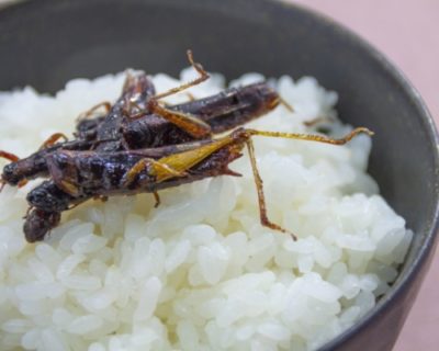 「食用イナゴ」が大人気の“ボーリング場”が歌舞伎町にあるから行ってみたら？