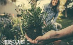 お庭のサブスク！短時間植物管理サービス「まちぐり」事前登録募集中！